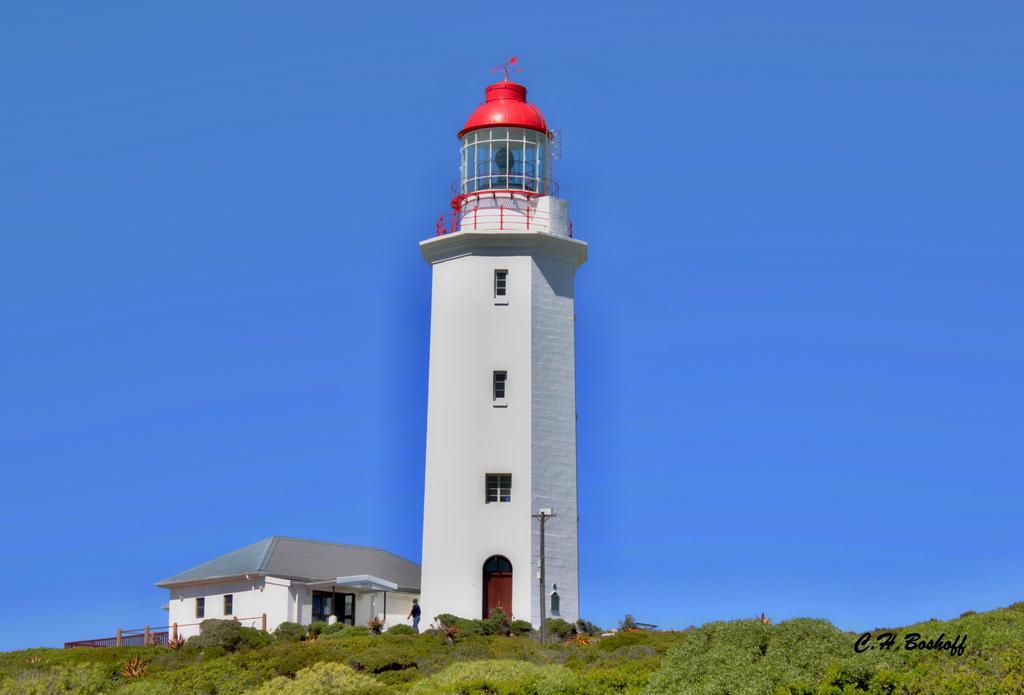 Walkerbay Accommodation غانسباي المظهر الخارجي الصورة